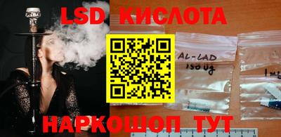 шишки Норильск