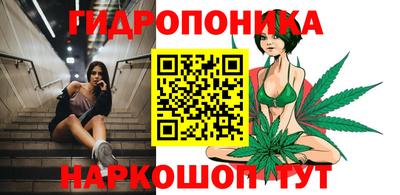 PSILOCYBIN Новоалександровск