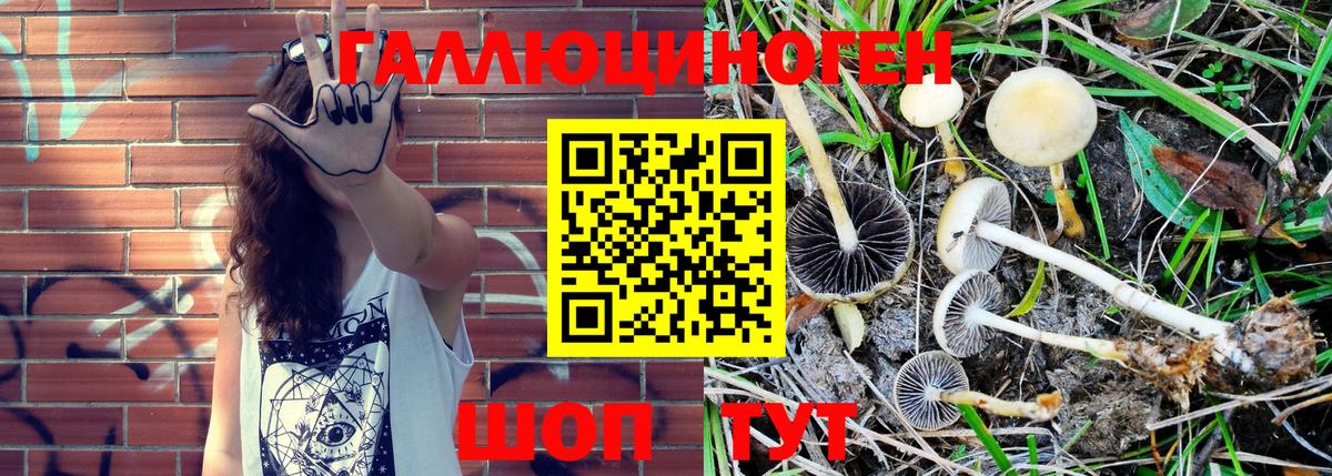 Псилоцибиновые грибы Magic Shrooms Калининград