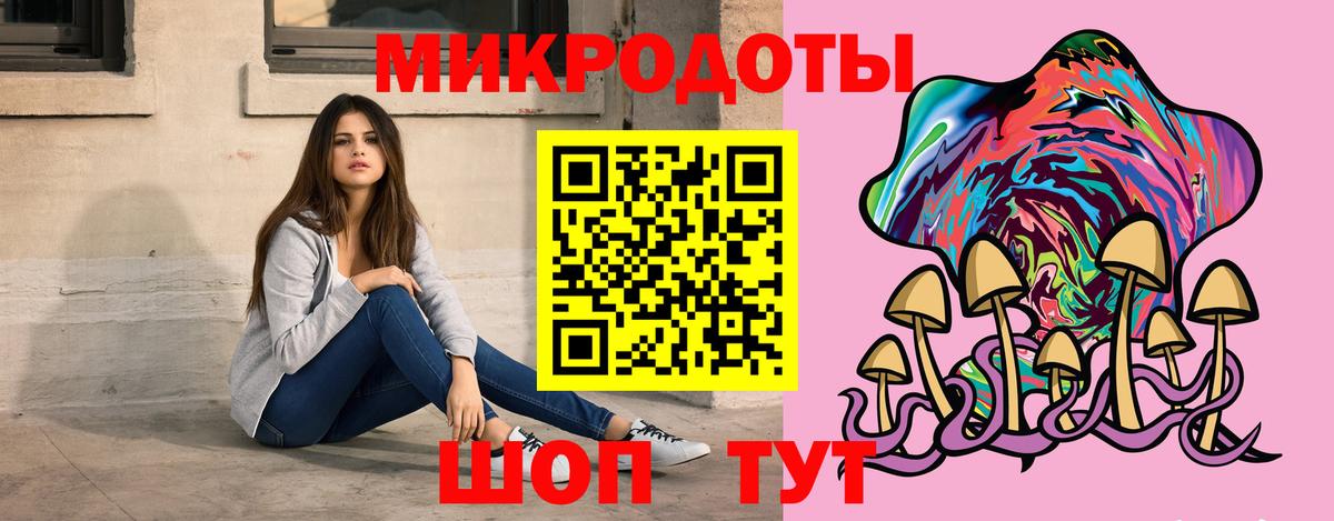 Псилоцибиновые грибы Cubensis  Вход с VPN  Калининград 